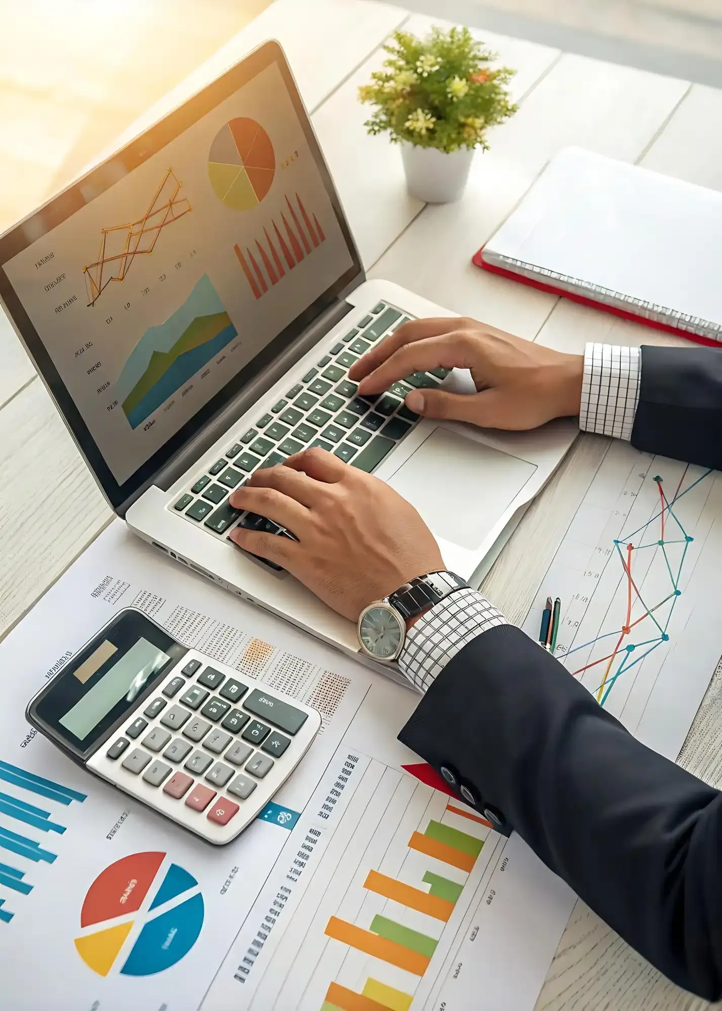 Friendly accountant helping client